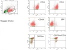 Canine Immunophenotyping - Isotype control