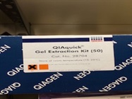 Great Column-Based DNA Extraction Kit