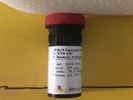 Immunophenotyping in Dogs