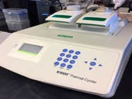 Excellent Bio-Rad Thermal Cycler