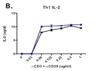 Anti-CD3 Antibody For In Vitro Stimulation Of CD4+ T Cells