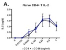 Anti-CD28 Antibody For In Vitro Costimulation Of CD4+ T Cells