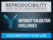 Watch Biocompare's New Documentary on Reproducibility: Antibody Validation Challenges