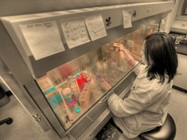 Setting Up Your Cell Culture Space for Success