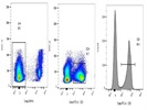 FITC CD3 (Clone 17A2) For Detection Of Murine Tumor Infiltrating Lymphocytes