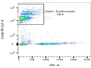 Great Antibody For Erythrocyte Detection