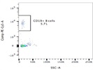 Good Antibody For Human B Cell Detection