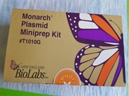 Miniprep Kit