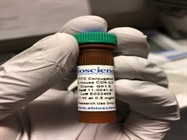 Excellent CD4 FITC Antibody