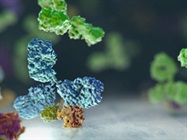Watch Video: Snapshot Proteomics from AVMBiomed