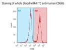 Staining Of Whole Blood With CD66b