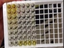 ELISA To Detect VEGF In Spent Cell Culture Media