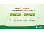 Watch Video: OriGene Lentivirus Production Kits