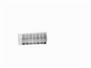Phospho-PI3 Kinase p85 (Tyr458)/p55 (Tyr199) Antibody