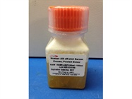 Human AB Serum: The Right Choice clone