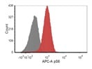 Phospho-S6 (Ser235/236) APC Antibody