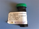 Comparable PD-1 Antibody