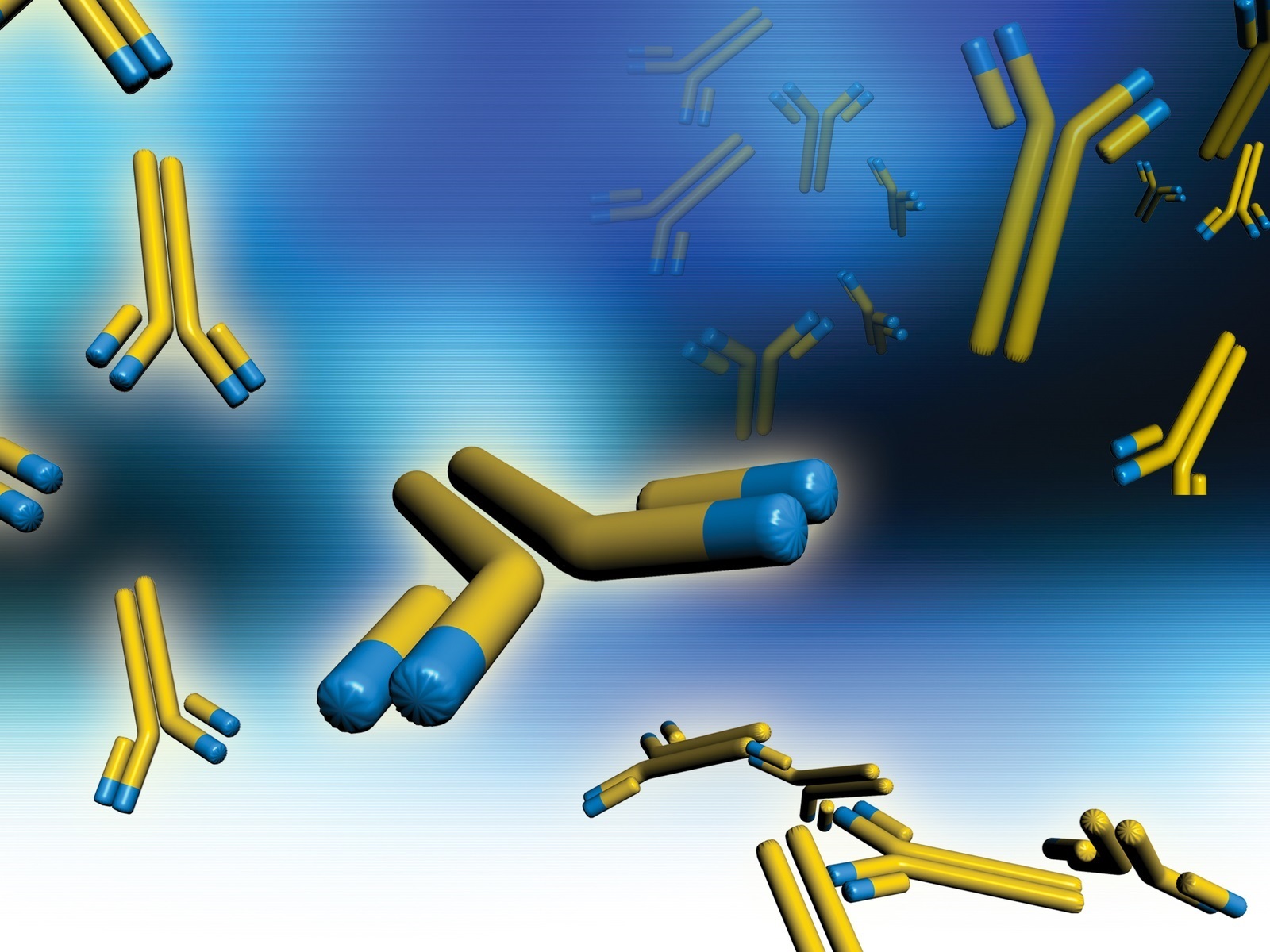  Flow Cytometry Antibodies