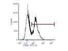 Easy To Use Antibody To Mark Mouse F4/80 Cells