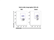 Superior Conjugated ST2 Antibody for Flow Cytometry