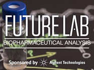 High-Throughput N-Linked Glycan Profiling of mAbs