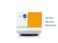 Watch Video: Meet Wes, a protein characterization problem solver