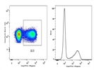 Human IFN-Gamma AF488 Antibody For FACS