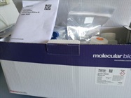 Affordable DNA Prep In The Midi Range