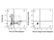 Reliable Antibody For Mouse CD8a In PE-Cy5