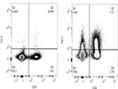 Review Of Anti-Egr2 PE Antibody