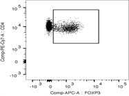 FOXP3 Monoclonal Antibody for Flow Cytometry