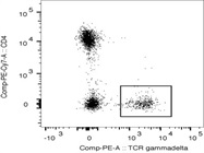 PE Anti-Mouse TCR gamma/delta Antibody For Flow Cytometry