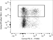 MHC Class II (I-A/I-E) Monoclonal Antibody For Flow Cytometry