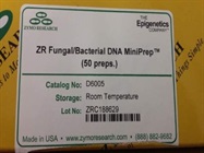 Bacterial DNA Extraction