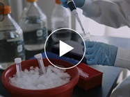 Collaborating to Solve Reproducibility with Proteintech: Watch Video