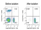Isolation Of Mouse CD4 T Cell (Negative Selection)