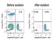 Isolation Of Mouse CD4 T Cell (Negative Selection)
