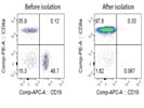 Isolation Of Mouse CD8 T Cell (Negative Selection)