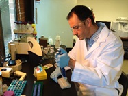 Improving Protein Yields and Quality