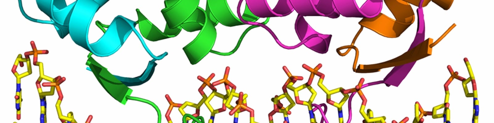 Methods for Detecting DNA-Protein Interactions