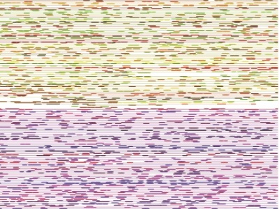  Optimizing Your Linked-Read Genome and Exome Analyses: 4 Practical Considerations