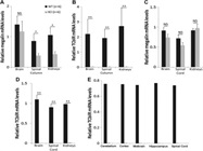 mRNA Expression of Mouse Brain Samples