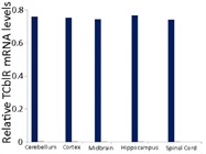 SYBR Green qPCR Mastermix