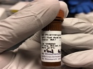 Very Bright CD44 APC Antibody