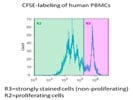 CFSE Staining Kit for PBMC staining