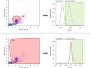 JAML-Staining Of Human PBMCs And Monocytes