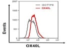 Good Antibody For Human OX40L Staining