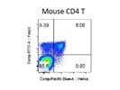 Foxp3-FITC Antibody
