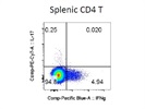 Anti-Mouse IFN-gamma Antibody (Pacific Blue)