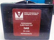 DAB Staining Kit